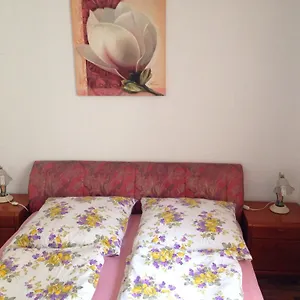 Apartamento In Center 